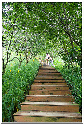 ╠花季╣這裡品種不一樣!!還有愛情花讓你沐浴愛情海中!