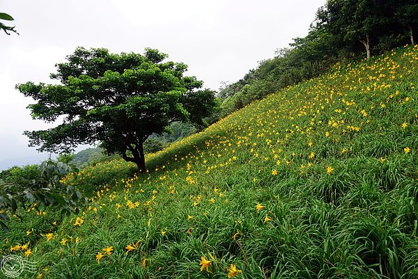 20140626-13 20140626-13