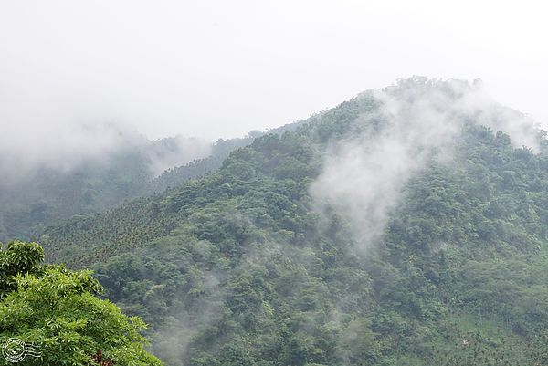 20140626-01 20140626-01