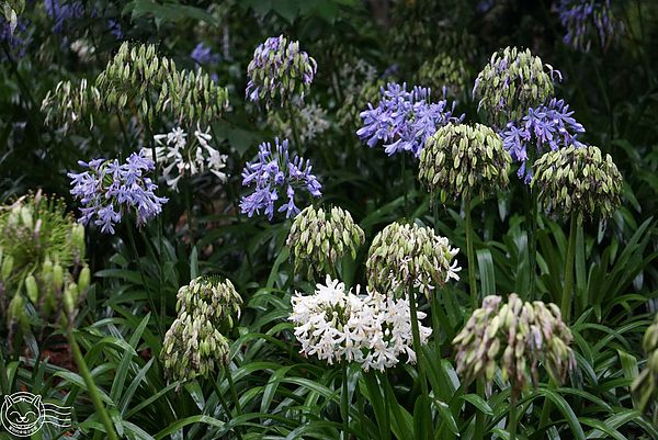 20140626-08 20140626-08