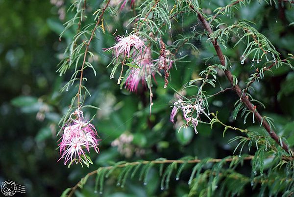 20140626-05 20140626-05