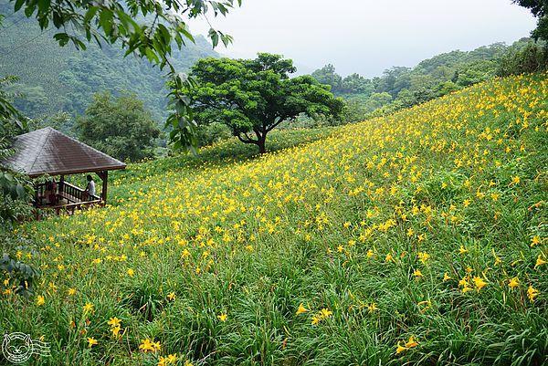 20140626-15 20140626-15