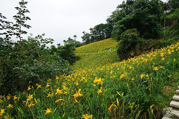 20140626-22 20140626-22