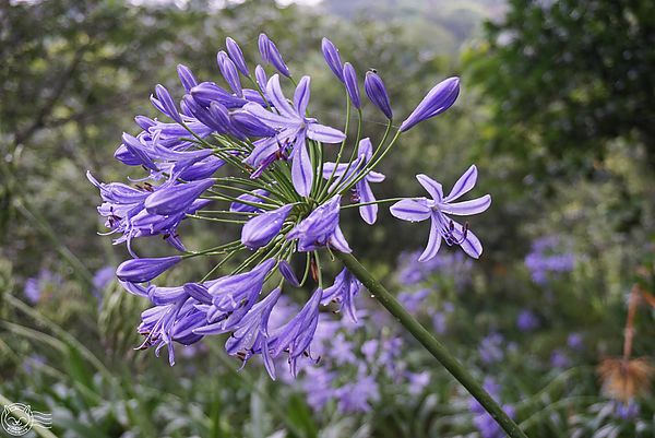 20140626-04 20140626-04