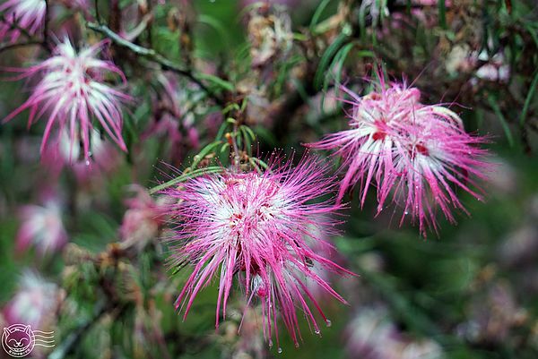 20140626-06 20140626-06