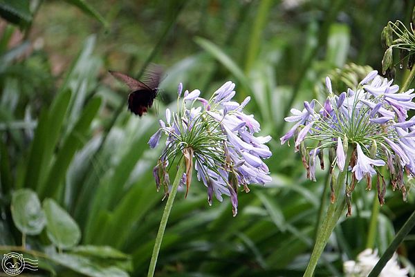 20140626-09 20140626-09