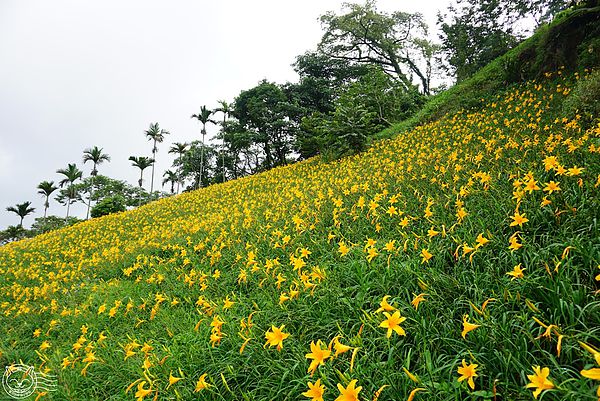 20140626-26 20140626-26