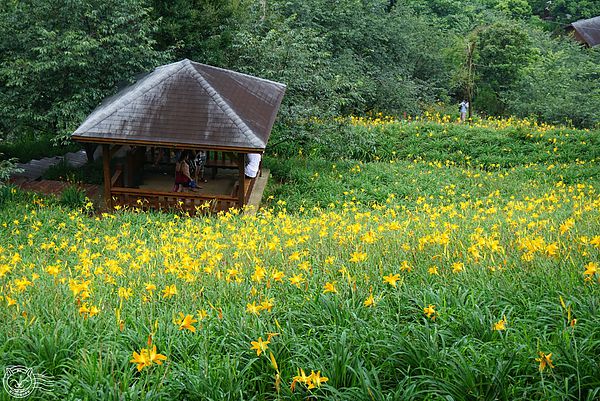 20140626-16 20140626-16