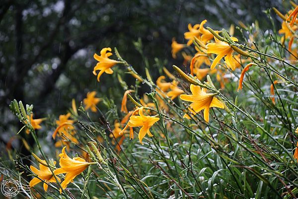 20140626-29 20140626-29