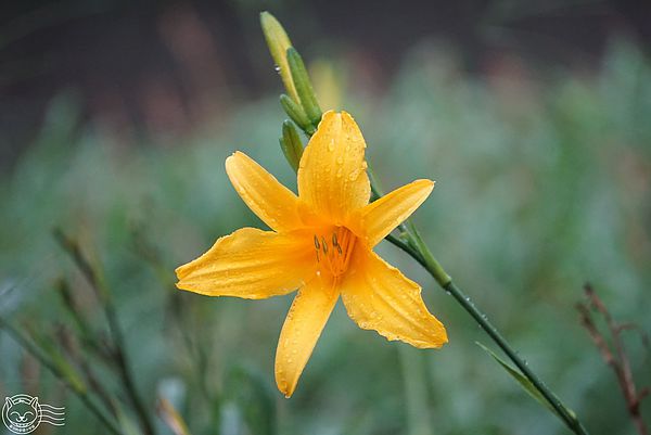 20140626-30 20140626-30