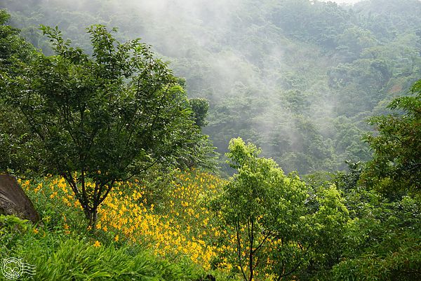 20140626-31 20140626-31