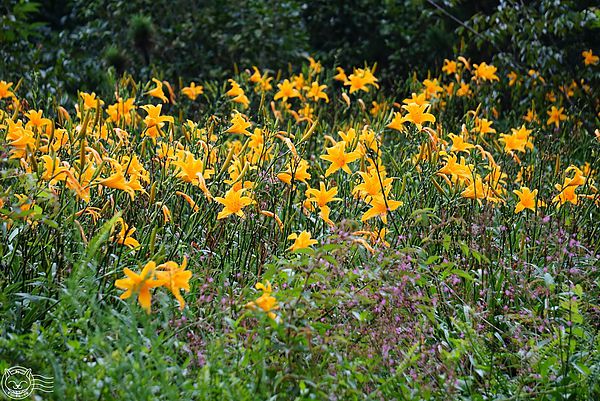 20140626-32 20140626-32