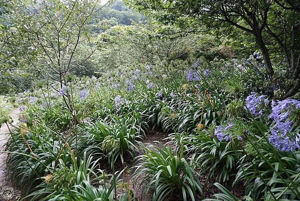 20140626-02 20140626-02