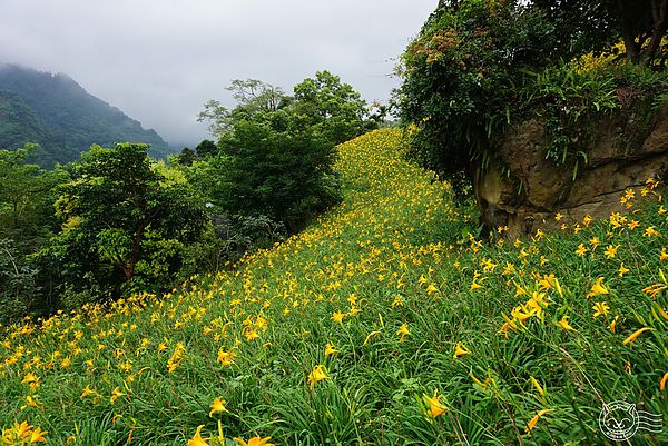 20140626-23 20140626-23