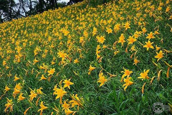 20140626-25 20140626-25