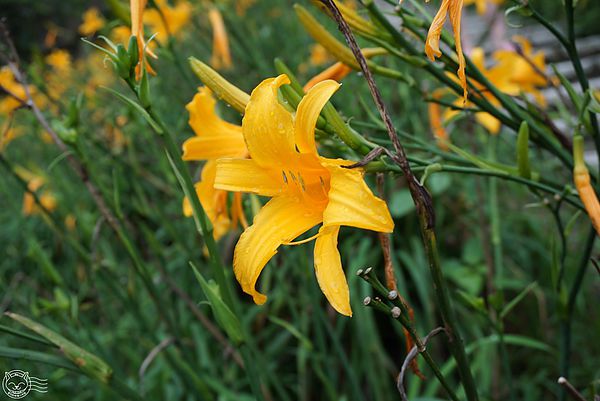 20140626-27 20140626-27