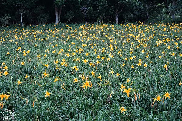 20140626-11 20140626-11