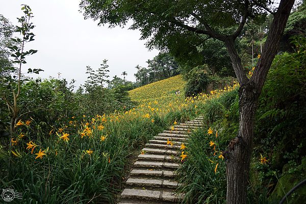 20140626-21 20140626-21