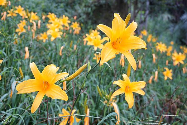 20140626-28 20140626-28