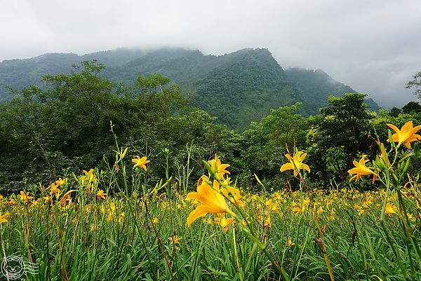 20140626-24 20140626-24