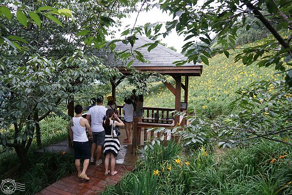 20140626-14 20140626-14