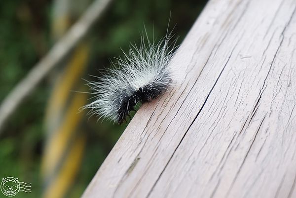 20140626-17 20140626-17