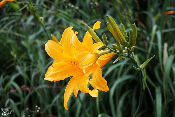 20140626-12 20140626-12