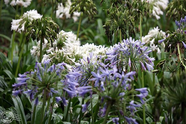 20140626-07 20140626-07