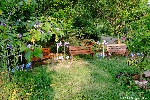 2015中部5-7月看金針花不用跑台東花蓮，花況全開好靚啊@台中新社沐心泉 @強生與小吠的Hyper人蔘~