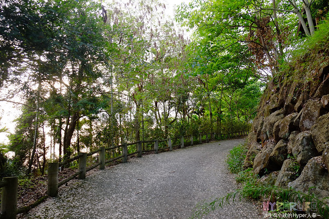 2015中部5-7月看金針花不用跑台東花蓮，花況全開好靚啊@台中新社沐心泉 @強生與小吠的Hyper人蔘~