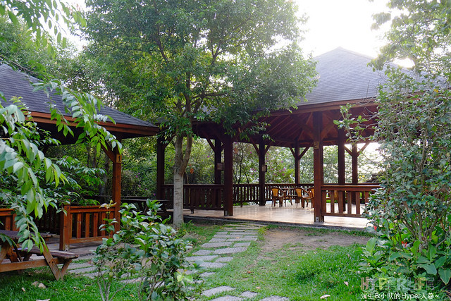 2015中部5-7月看金針花不用跑台東花蓮，花況全開好靚啊@台中新社沐心泉 @強生與小吠的Hyper人蔘~