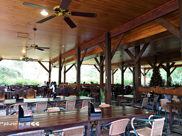 【台中 新社】沐心泉休閒農場●※●一年四季都有不同風貌,現在黃楓mix白雪木,正對時,美哉。