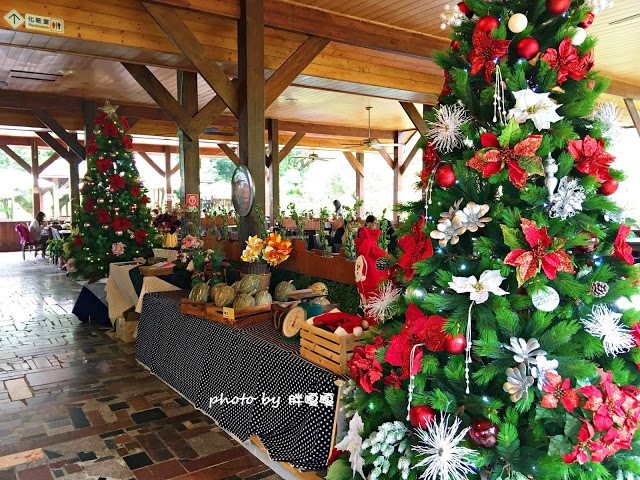 【台中 新社】沐心泉休閒農場●※●一年四季都有不同風貌,現在黃楓mix白雪木,正對時,美哉。