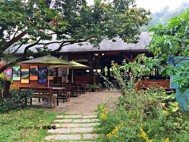 【台中 新社】沐心泉休閒農場●※●一年四季都有不同風貌,現在黃楓mix白雪木,正對時,美哉。