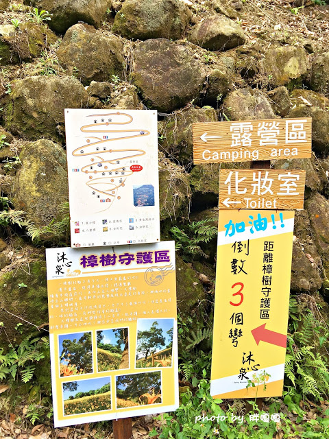 【台中 新社】沐心泉休閒農場●※●一年四季都有不同風貌,現在黃楓mix白雪木,正對時,美哉。