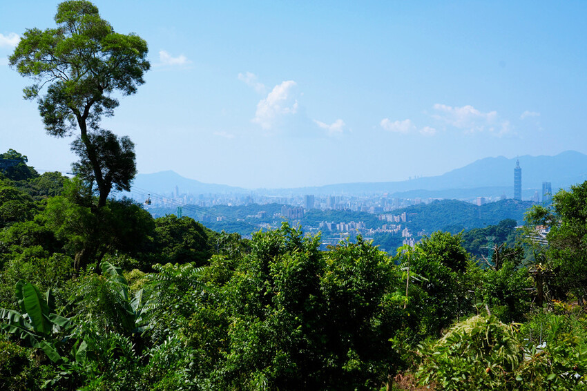 貓空泡茶吃美食「貓空找茶屋」，坐擁101美景、貓纜視野，貓空