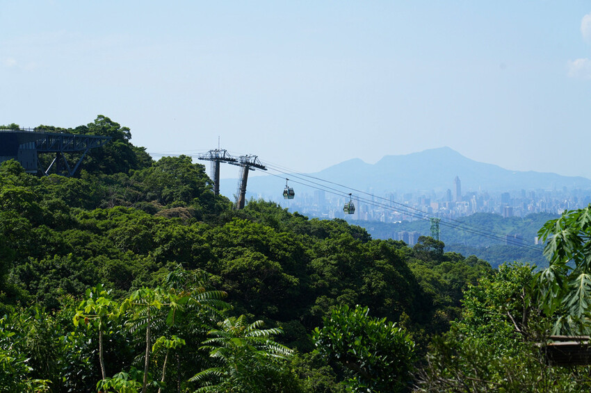 貓空泡茶吃美食「貓空找茶屋」，坐擁101美景、貓纜視野，貓空