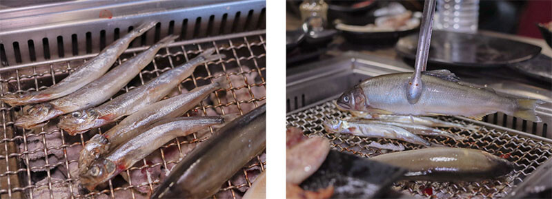 免飛日本!新竹也有80年代昭和感日式火烤兩吃炭烤吃到飽,比臉大、頂級加價$499龍蝦吃到飽