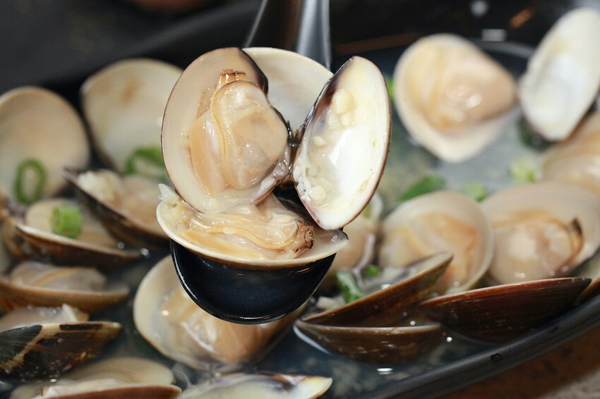 IMG_8400.JPG IMG_8400.JPG