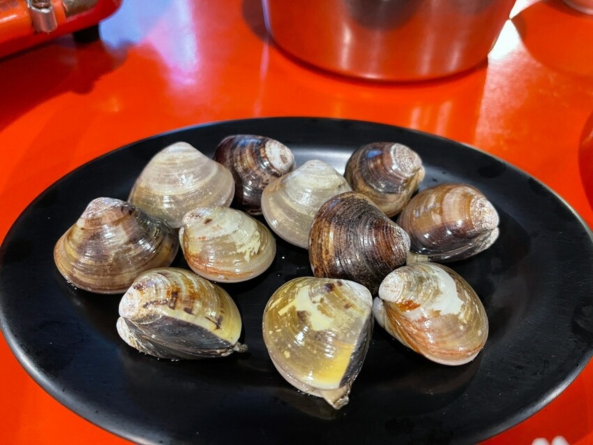 食藝鍋物蛤仔