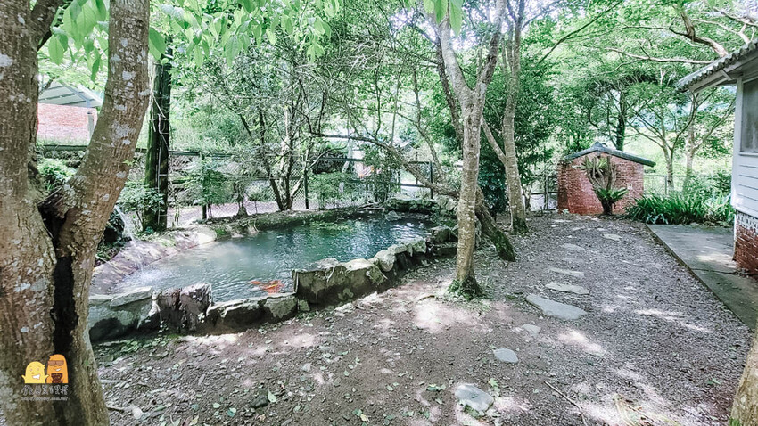 超隱密新竹咖啡廳！走過吊橋才可喝到的咖啡，12月還可賞楓葉