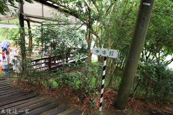 IMG_0013.jpg IMG_0013.jpg