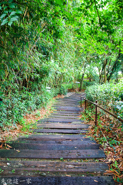 IMG_0012.jpg IMG_0012.jpg