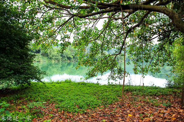 IMG_0052.jpg IMG_0052.jpg