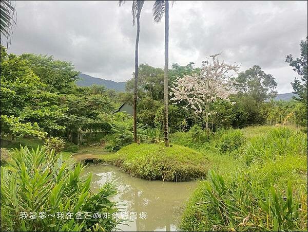 金石咖啡休閒農場16.jpg