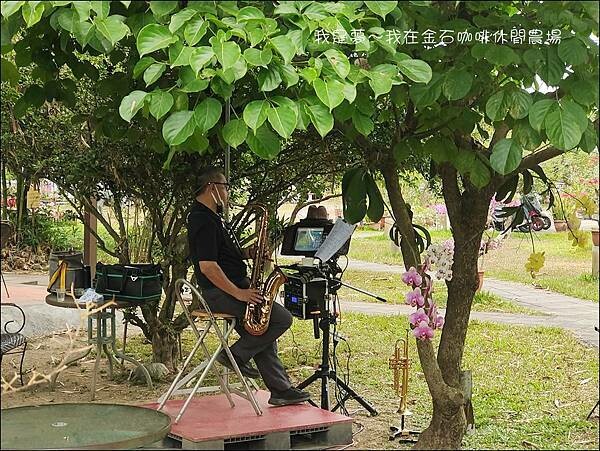 金石咖啡休閒農場03.jpg