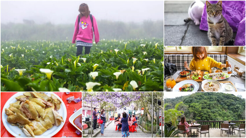 台北市士林區【陽明山餐廳】16間陽明山美食，土雞野菜/景觀餐廳/下午茶/咖啡館推薦