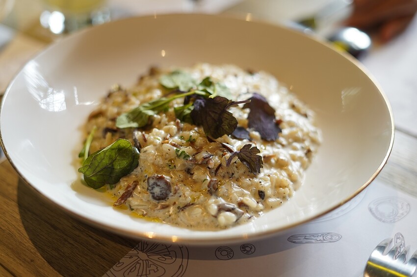 DSC08389.JPG DSC08389.JPG