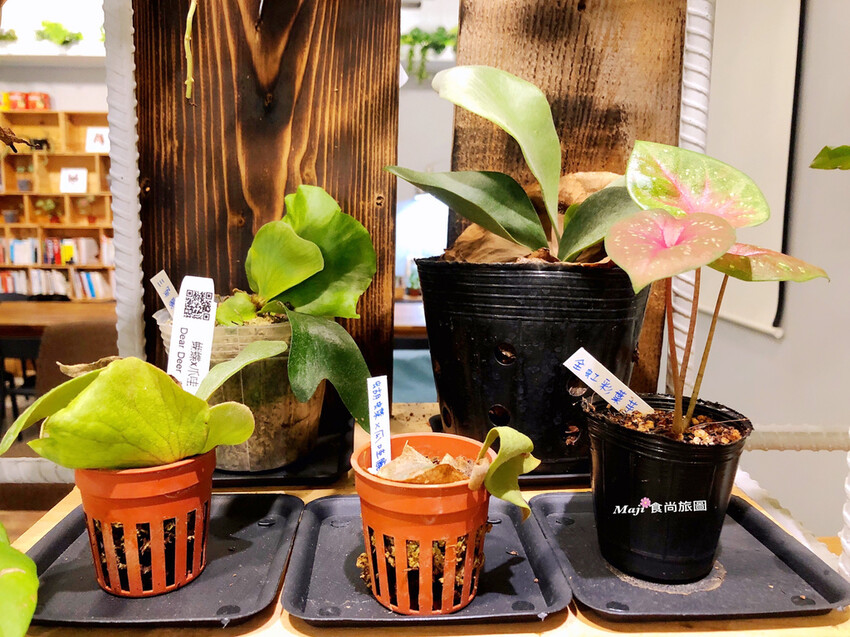 他。植物咖啡 He Coffee