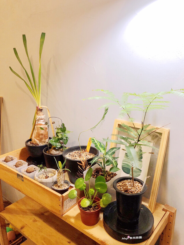 他。植物咖啡 He Coffee    